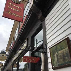 Meet your Posher, Bette ann